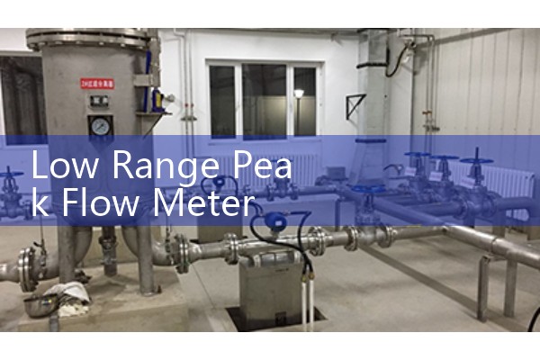 Low Range Peak Flow Meter Instructions: Tracking Daily Respiratory Vital Volumes for Pediatric Asthma Care